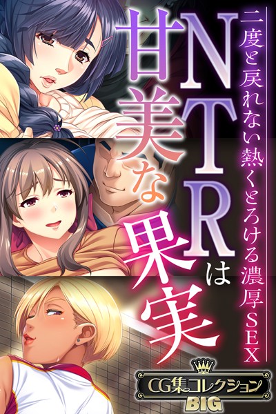 大人のSEXY絵本【NTRは甘美な果実〜二度と戻れない熱くとろける濃厚SEX〜【CG集コレクションBIG】】単行本レビュー評価