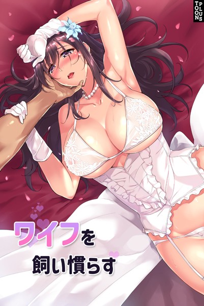 JJM【ワイフを飼い慣らす】フルカラーレビュー評価4.20