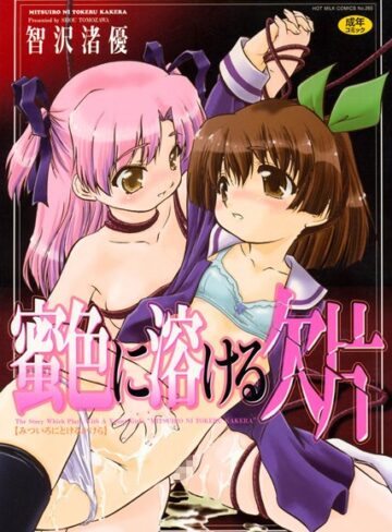 智沢渚優❤蜜色に溶ける欠片｜単行本