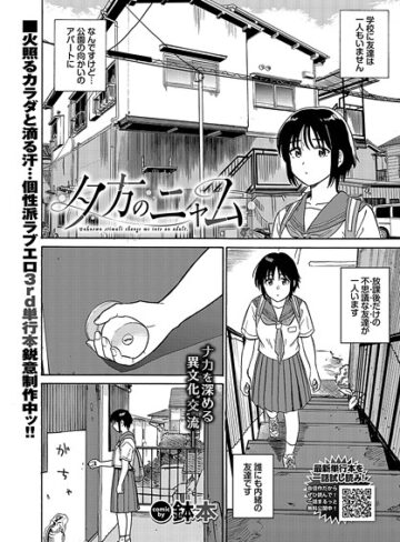 鉢本❤夕方のニャム（単話）｜単話 評価5.00