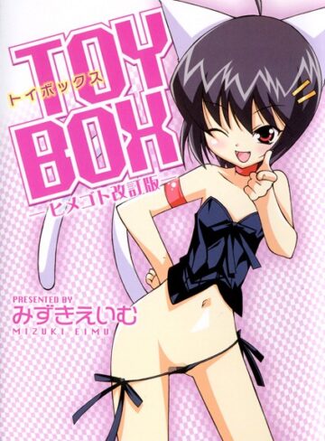 みずきえいむ❤TOY BOX -ヒメゴト改訂版-｜単行本